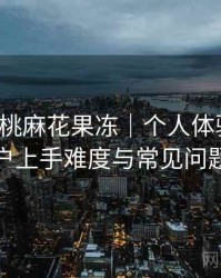 天美蜜桃麻花果冻｜个人体验整理：新用户上手难度与常见问题整理