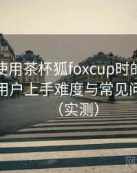 第一次使用茶杯狐foxcup时的真实感受：新用户上手难度与常见问题整理（实测）