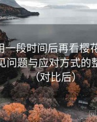 连续使用一段时间后再看樱花影院 理论：常见问题与应对方式的整理记录（对比后）