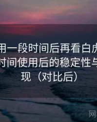 连续使用一段时间后再看白虎免费网站：长时间使用后的稳定性与加载表现（对比后）
