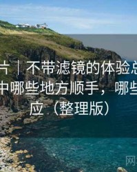 白虎图片｜不带滤镜的体验总结：日常使用中哪些地方顺手，哪些需要适应（整理版）