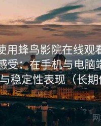 第一次使用蜂鸟影院在线观看官网时的真实感受：在手机与电脑端的使用差异与稳定性表现（长期体验）