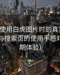 第一次使用白虎图片时的真实感受：分类页与搜索页的使用手感对比（长期体验）