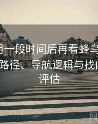 连续使用一段时间后再看蜂鸟影院fnyy：入口路径、导航逻辑与找内容效率评估