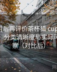 多次使用后再评价茶杯狐 cupfox：搜索效率、分类清晰度与实际可用性观察（对比后）
