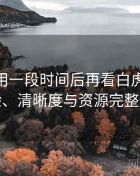 连续使用一段时间后再看白虎91：播放体验、清晰度与资源完整性观察