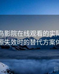 围绕蜂鸟影院在线观看的实际使用感想：资源失效时的替代方案体验记录