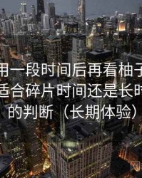 连续使用一段时间后再看柚子影视电脑版：适合碎片时间还是长时间观看的判断（长期体验）