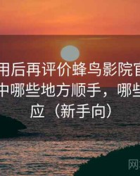 多次使用后再评价蜂鸟影院官网：日常使用中哪些地方顺手，哪些需要适应（新手向）