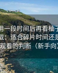 连续使用一段时间后再看柚子影视电脑版下载：适合碎片时间还是长时间观看的判断（新手向）