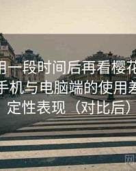 连续使用一段时间后再看樱花影院 理论：在手机与电脑端的使用差异与稳定性表现（对比后）
