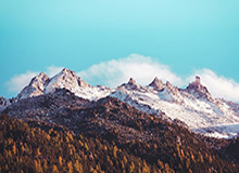 连续使用一段时间后再看柚子影视：加载速度、清晰度与缓存策略观察（对比后）