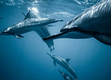 把星辰影院未删减当作日常工具后的感受：从找资源到持续使用的完整体验链路（实测）