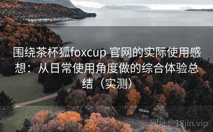 围绕茶杯狐foxcup 官网的实际使用感想：从日常使用角度做的综合体验总结（实测）