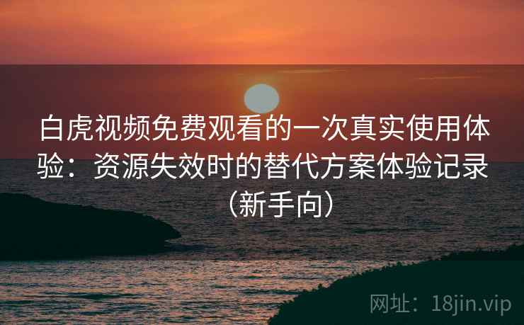 白虎视频免费观看的一次真实使用体验：资源失效时的替代方案体验记录（新手向）