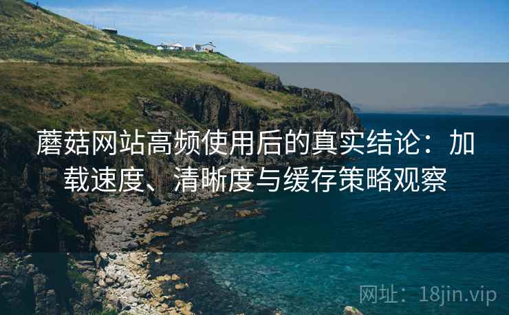 蘑菇网站高频使用后的真实结论：加载速度、清晰度与缓存策略观察