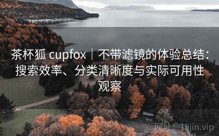 茶杯狐 cupfox｜不带滤镜的体验总结：搜索效率、分类清晰度与实际可用性观察