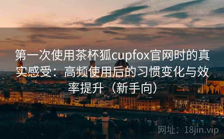 第一次使用茶杯狐cupfox官网时的真实感受：高频使用后的习惯变化与效率提升（新手向）
