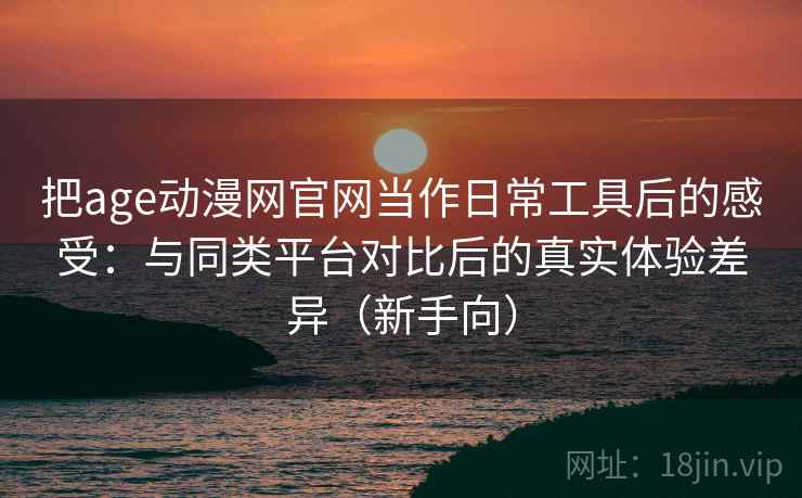 把age动漫网官网当作日常工具后的感受：与同类平台对比后的真实体验差异（新手向）