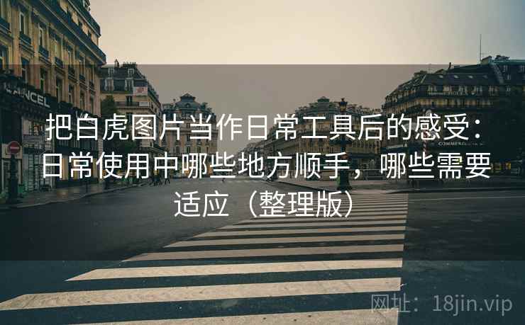 把白虎图片当作日常工具后的感受：日常使用中哪些地方顺手，哪些需要适应（整理版）
