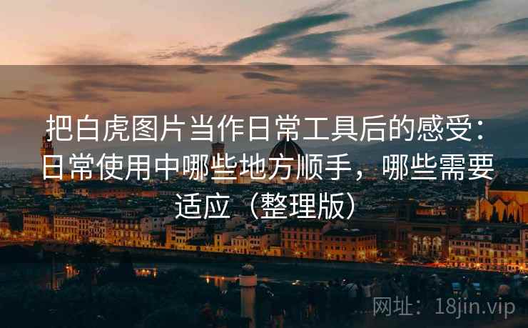 把白虎图片当作日常工具后的感受：日常使用中哪些地方顺手，哪些需要适应（整理版）