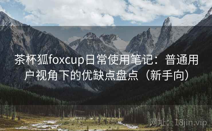茶杯狐foxcup日常使用笔记：普通用户视角下的优缺点盘点（新手向）