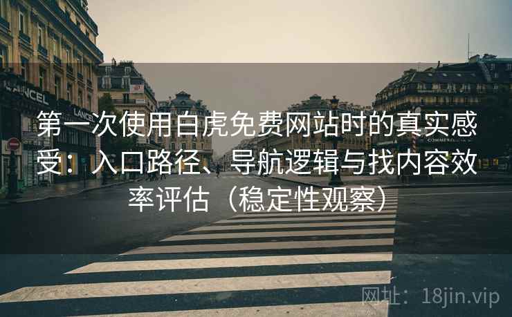 第一次使用白虎免费网站时的真实感受：入口路径、导航逻辑与找内容效率评估（稳定性观察）